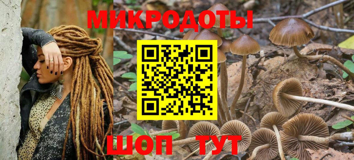Галлюциногенные грибы GOLDEN TEACHER  Псилоцибиновые грибы прущие грибы  Аргун  Вход с VPN 
